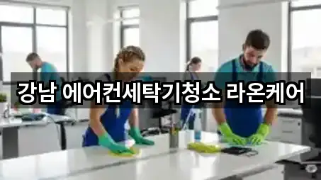 강남 에어컨세탁기청소 라온케어