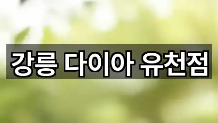 강릉 다이아 유천점