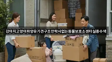 강아지고양이파양유기견구조안락사없는동물보호소센터실종수색