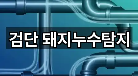 검단 돼지누수탐지