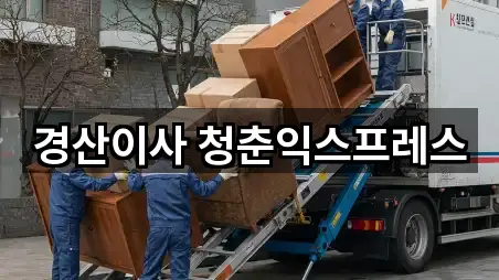 지도 브리핑: 경산시 포장이사 5곳