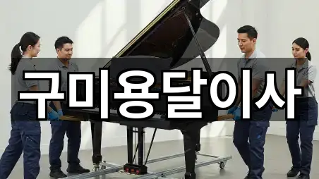 경북 구미시 용달이사 4곳 지도 모아보기