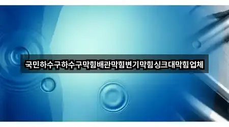 국민하수구하수구막힘배관막힘변기막힘싱크대막힘업체