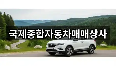 국제종합자동차매매상사