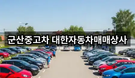군산시 경장동 중고차 5곳 — 지도/주소