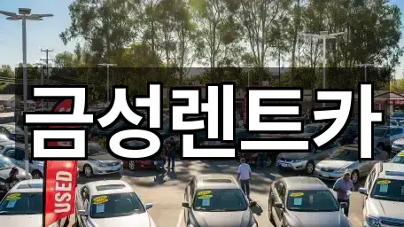 울산 무거동 렌트카 4곳 위치 총정리