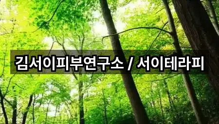 동해 귀운동 에스테틱 5곳 주소 모아보기