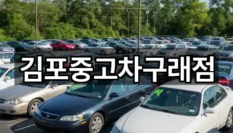 김포중고차구래점