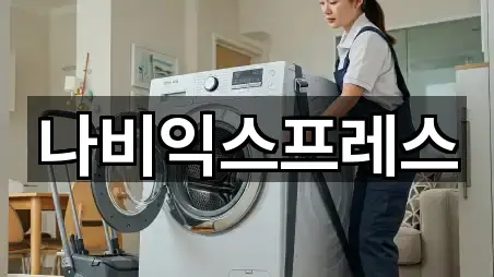 나비익스프레스