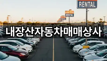 전북 정읍 금붕동 중고차 5곳 — 연락처