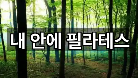 충주시 봉방동 필라테스 지도에서 한 번에 5곳