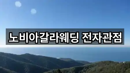 노비아갈라웨딩 전자관점