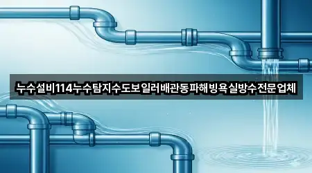 누수설비114누수탐지수도보일러배관동파해빙욕실방수전문업체