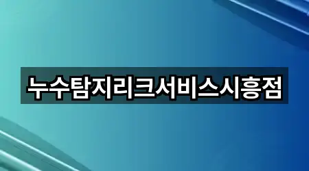 누수탐지리크서비스시흥점