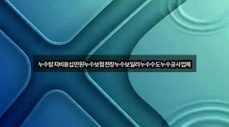 누수탐지비용십만원누수보험천장누수보일러누수수도누수공사업체