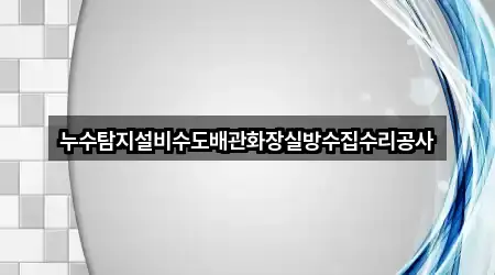 누수탐지설비수도배관화장실방수집수리공사