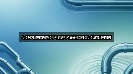 누수탐지설비업체하수구막힘변기역류뚫음화장실누수고압세척해빙