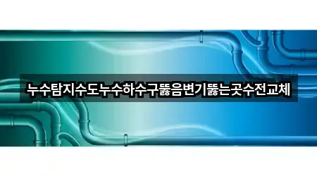 누수탐지수도누수하수구뚫음변기뚫는곳수전교체