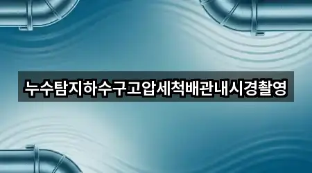 지금 인기 전남 신의면 누수 1곳