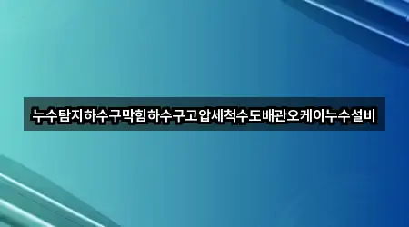 누수탐지하수구막힘하수구고압세척수도배관오케이누수설비