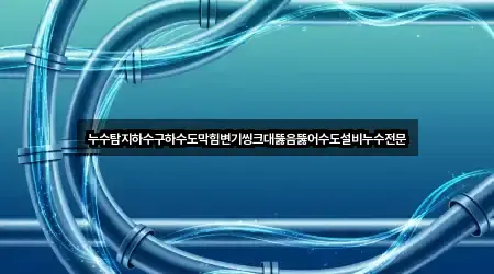 누수탐지하수구하수도막힘변기씽크대뚫음뚫어수도설비누수전문