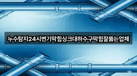 누수탐지24시변기막힘싱크대하수구막힘잘뚫는업체