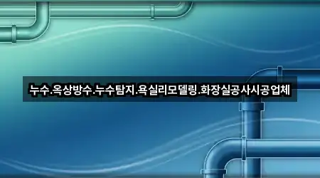 누수.옥상방수.누수탐지.욕실리모델링.화장실공사시공업체