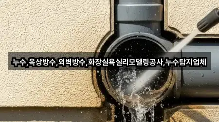 인천광역시 서구 왕길동 누수탐지 5곳 위치 모음