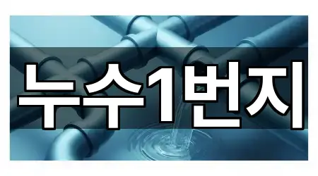 누수1번지