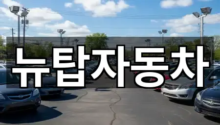 서북구 와촌동 중고차 5곳 주소 모음