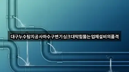 대구누수탐지공사하수구변기싱크대막힘뚫는업체설비의품격