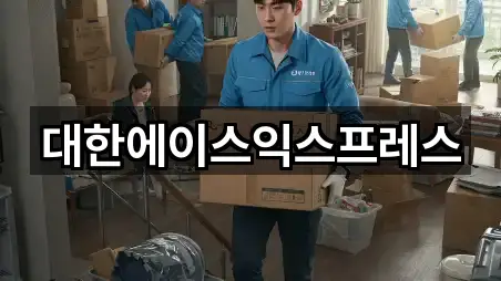 대한에이스익스프레스