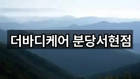 더바디케어 분당서현점