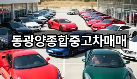 동광양종합중고차매매