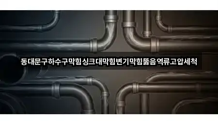 동대문구하수구막힘싱크대막힘변기막힘뚫음역류고압세척