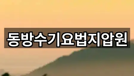 동방수기요법지압원