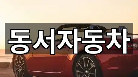 창원시 인사동 중고차 신규/인기 4곳