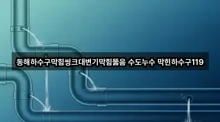 동해시 천곡동 변기 뚫음 4곳 주소 모아보기