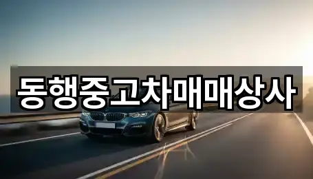 동행중고차매매상사