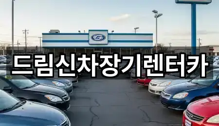 드림신차장기렌터카