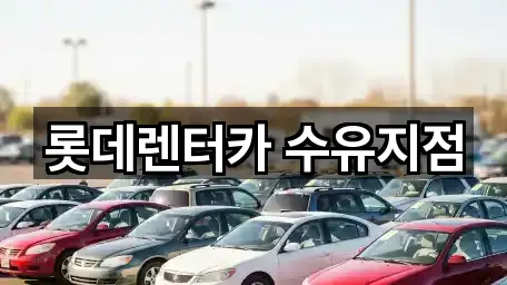 강북구렌트카 문의/예약 5곳