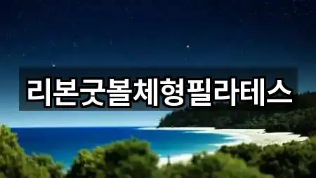 리본굿볼체형필라테스