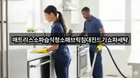 매트리스소파습식청소패브릭침대진드기쇼파세탁