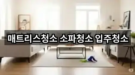 매트리스청소 소파청소 입주청소