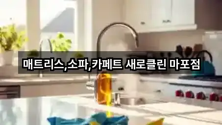 즉시 안내: 신수동청소업체 4곳