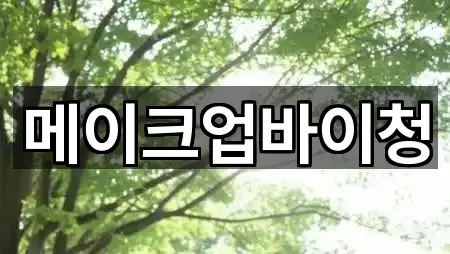 메이크업바이청