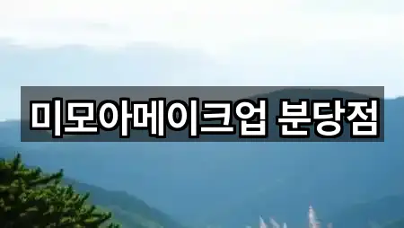 미모아메이크업 분당점