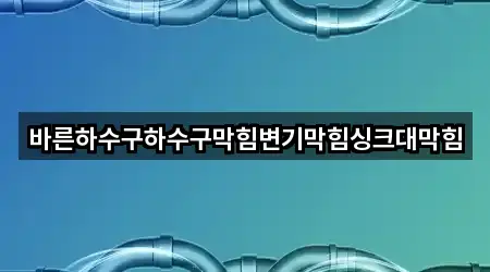전라남도 마동 변기막힘 지금 연락 5곳