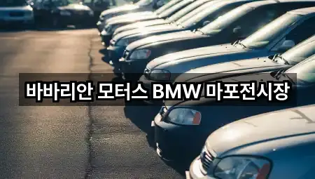 바바리안 모터스 BMW 마포전시장