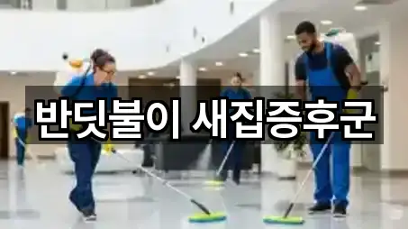 반딧불이 새집증후군